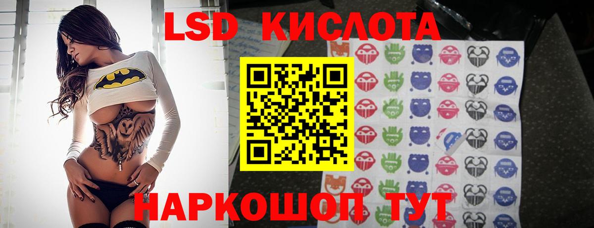 МЕФ Курчалой