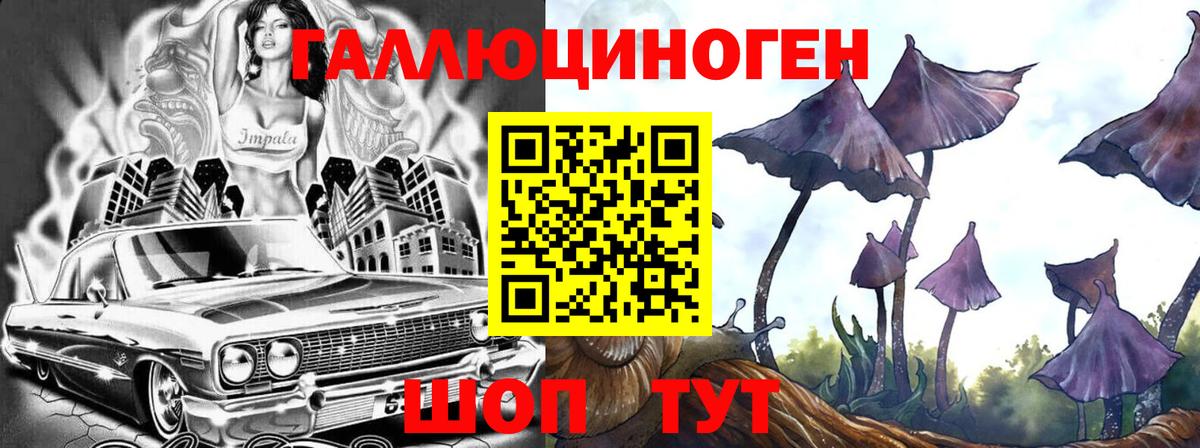 Галлюциногенные грибы Psilocybine cubensis  Псилоцибиновые грибы мухоморы  Курчалой  Вход с VPN 